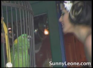 Sunny And The Parrot