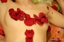 American Beauty picture 27